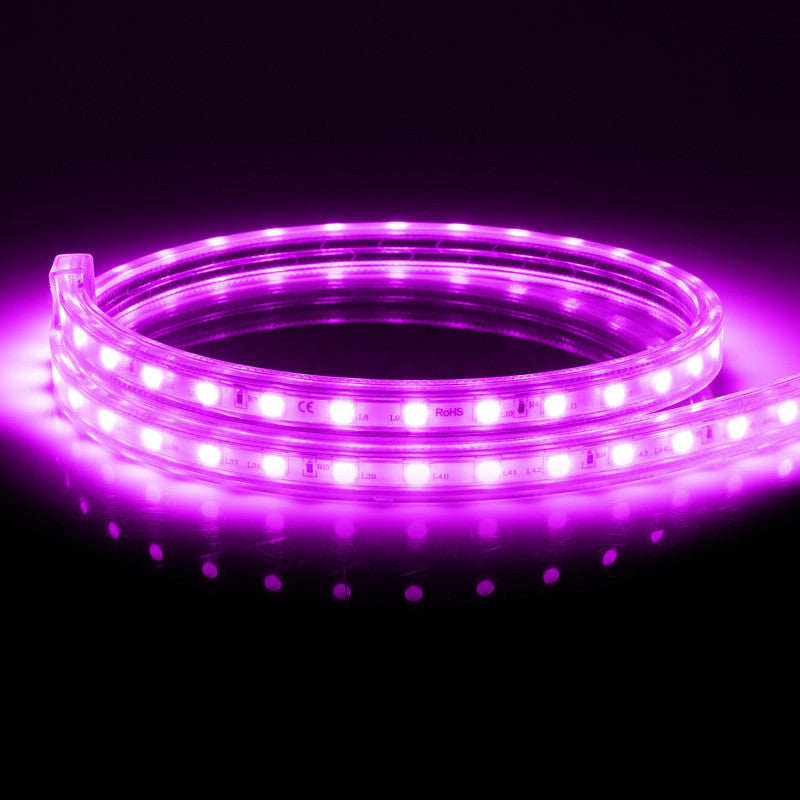 Enhance Your Space with Vibrant 10m - 32FT RGB LED Strip Light | 110V